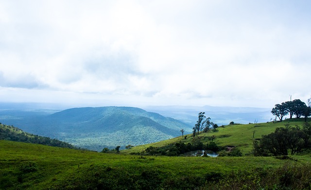 我们不难发 我们不难发