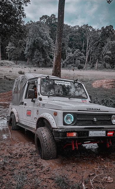 了火箭替补 了火箭替补