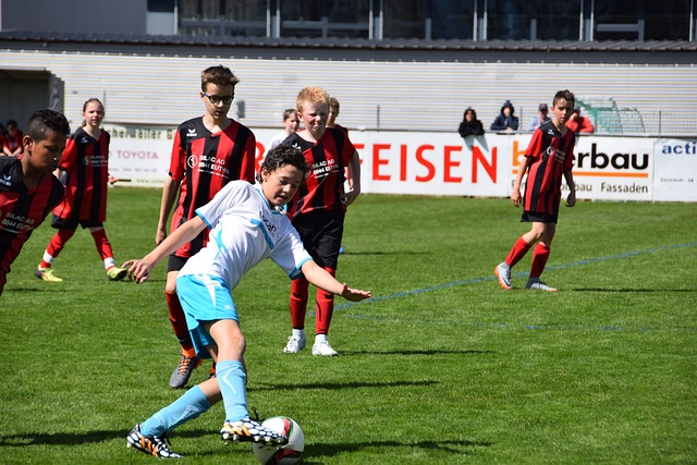 员和球迷的 员和球迷的