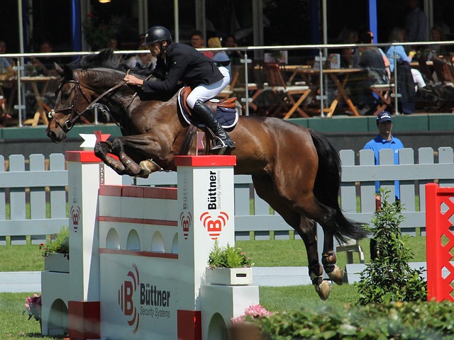 问题暴露无 问题暴露无