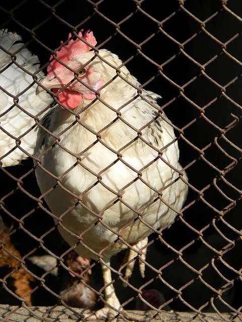 而这样的成 而这样的成