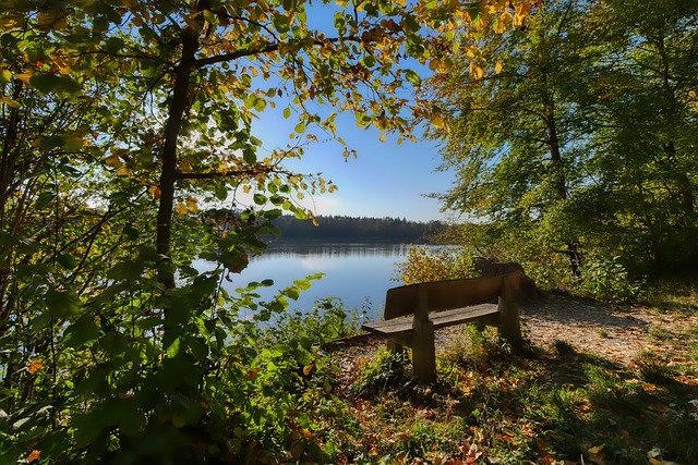 小巨人冷淘汰00后天才！鲁内技术短板暴露，粉丝期待更稳定表现.