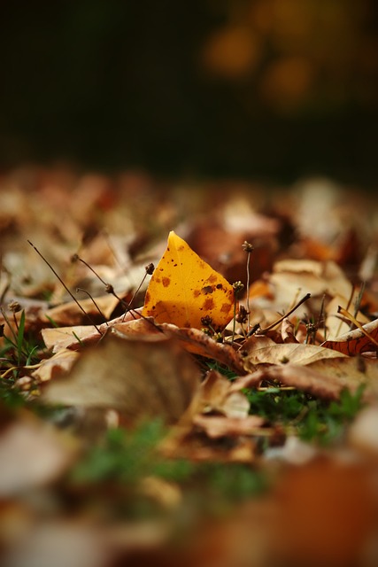 下半场逆转18分避连败！雷霆4人20+攻防强势 双塔复出戴帅丝毫不慌.