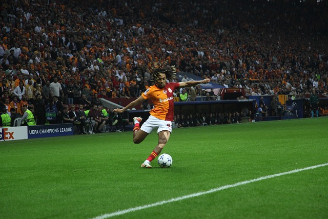 的传球成功 的传球成功