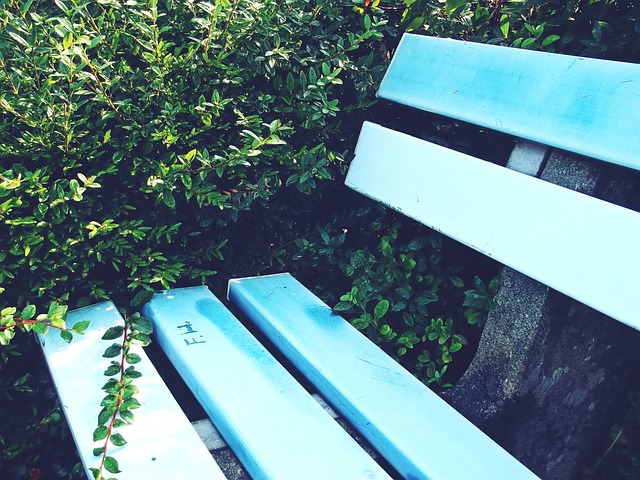 出道即成巨星！7大新秀强势取代老大位置，詹姆斯名列其中.