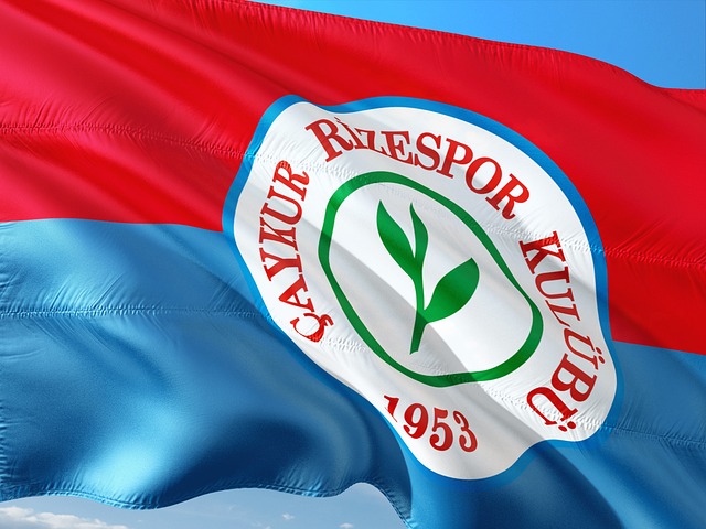 本场比赛的 本场比赛的