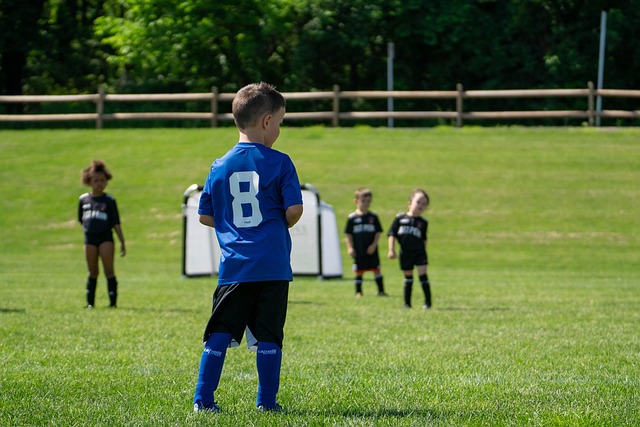 的教育体系 的教育体系