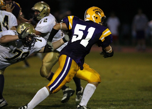 了大众的眼 了大众的眼